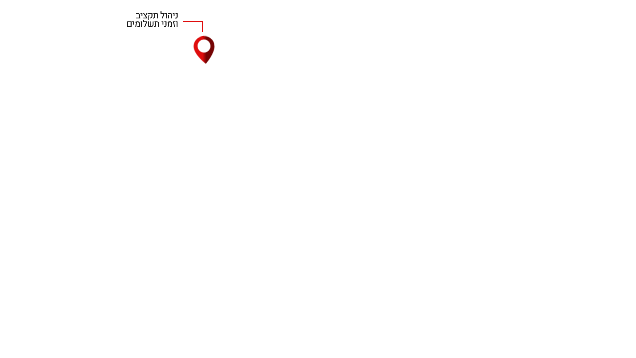 ניהול תקציב ומזני תשלום 11